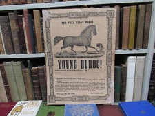 Original 1845 Full Blood Horse Young Duroc Broadside picture