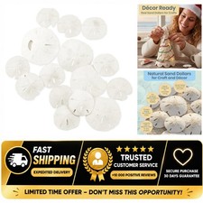 Nautical Crush Trading Imperfect Sand Dollars 15pk 2-3.25