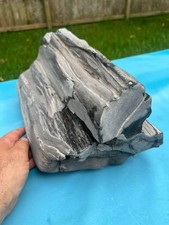 Texas Petrified Wood Large 15x9x8 Agatized Grey/BlK Log Aquascape Orchard Decor picture