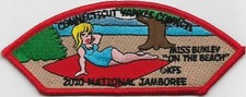 Connecticut Yankee Council 2010 JSP 100th Anniversary (Miss Buxley) picture