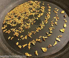 8 Oz. Rich Gold Paydirt - Concentrates Paydirt Nuggets Flakes Panning Pay Dirt  picture