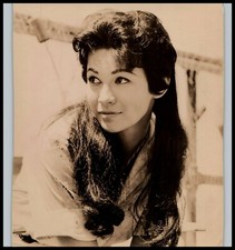 Hollywood Beauty BARBARA LUNA ALLURING POSE 1950s STUNNING PORTRAIT Photo 532 picture