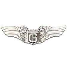 GL16-002 WW2 AAF Glider Pilot Wings pin replica collectible aviation aviator 3 i picture