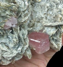 Natural Pink Apatite on Mica Matrix, Chumar Bakhoor Pakistan Mineral Specimen picture