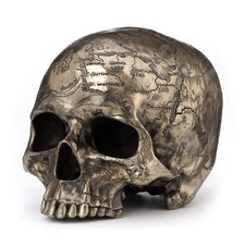 Veronese Design Finish Craniumography Old Treasure Map On Skull Statue - Bronze picture