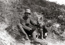 German War animals World War I 13x19 WWI WW1 Photo 59 picture
