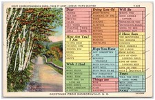 Greetings from Sanbornville NH Time Saver - Dizzy Correspondence Card 1940 picture