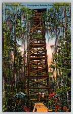 c1940s Okefenokee Swamp Observation Waycross GA Postcard Linen picture