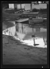 Photo:East Hampton New York 1900s Boats Ducks Waterfront Scene picture