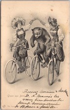 Vintage BERN, Switzerland Postcard 