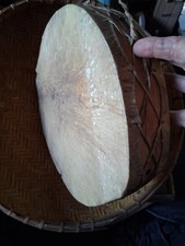 **ANTIQUE 75 YEAR OLD NATIVE AMERICAN RARAMURI TARAHUMARA SHAMAN DRUM HTF