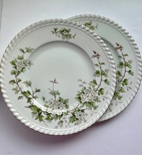 2-Franconia-Kautheim & Adelburg  dinner plates Hawthorn pattern Bavaria, Germany picture