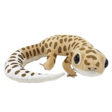 TST ADVANCE Real Leopard Gecko picture