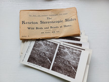Antique Kearton Stereoscopic Slides Nature Studies Complete Set Envelope 1900's picture