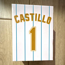Marlins Legends Bobblehead Series Luis Castillo #1 MLB Bobblehead w Box picture
