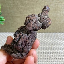 105g Top Best Rare dung coprolite Poop specimen #249 picture