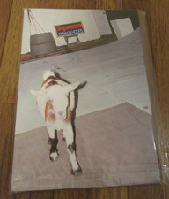 Supreme Sun Damage By Harmony Korine Soft Cover Photo Book FW21 New Free US S&H picture