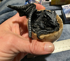 Fantasy Dragon Hatchling in Cracked Egg Figurine Statue - Black Dragon picture