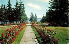 Walk Garthgannon Lodge Camden Hills Penobscot Bay Owls Head Maine Me Postcard picture