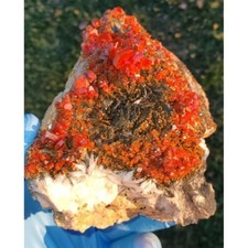 A++++ SPECTACULAR BIG FIRE RED VANADINITE CRYSTALS ON BARITE AND MANGANESE 1170g picture