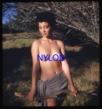 RARE 1950s 3-D STEREO KODACHROME SLIDE NUDE AFRO-AMERICAN MODEL BY ALLEN COBERT picture