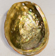 Vintage Large Red Abalone Shell Dish Gold Rainbow Iridescence Smudge Pot Decor picture