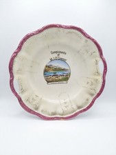 Antique 1900s Douglas Alaska Souvenir Plate Compliments of M J O'Connor 9.5