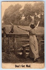 c1910's Couple Woman On Fence Don't Get Mad Buchanan Michigan MI Postcard picture