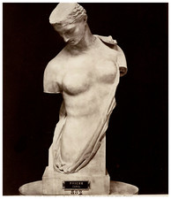 Italia, Psyche, Museo Napoli Vintage Print, Albumen Print 23x19.5 Cir picture