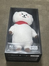 Official BTS BT21 RJ Medium Standing Plush Doll Jin Line Friends Brand New picture