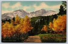 Vintage Postcard, Linen, Gerald J. Clarke, Long's Peak, Colorado picture