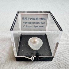 Rare Vintage Mikimoto Pearl Island Specimen of a Cultured Semi-Spherical Pearl picture