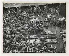 Japanese Prisoners Of War POW 1945 US Coast Guard Captured Type 1 Photo J15274 picture