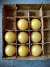 Rare 209g Ø61,5 CATALIN Billiard Ball Vintage Bakelite? OLD VTG Collectible picture