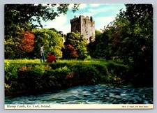 Postcard Ireland Cork Blarney Castle Grounds River  6x 4 Chrome Unposted P301 picture