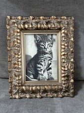 Vintage Cat Ephemera Newspaper Magazine Clipping Framed Art picture