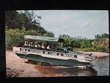 Wisconsin Dells WI, Duck Entering Wisconsin River, Wisconsin Vintage Postcard picture