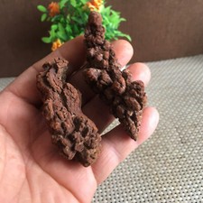 102g Rare naturally  Dinosaur dung  coprolite Petrified Poop Specimen  B2026 picture