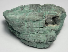 121.88 grams Extremely RARE Green CHROMIUM Petrified Wood from Winslow ARIZONA picture