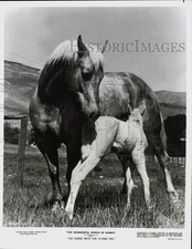 1977 Press Photo 