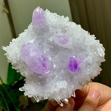 408G Natural Transparent Chrysanthemum crystal Cluster with Amethyst Specimen picture