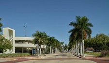 Photo:Fort Myers Florida 2000s Palm Tree Boulevard Streetscape Roadway picture