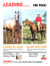 String Of Gold Aledo Rita Bar Milledgeville GA Trenton TN Vtg 1971 Mag Print Ad picture