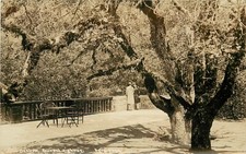Patterson RPPC 4.G.16 1920s Ladies on Terrace Benbow Inn Hotel Redwood Hwy CA picture