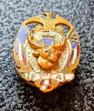 ANTIQUE FORESTERS OF AMERICA FRATERNAL LAPEL PIN - EARLY 1900'S picture