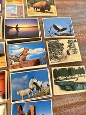Vintage Western Postcard Lot 1970s & Earlier NOS Landscape Wildlife Scenic picture