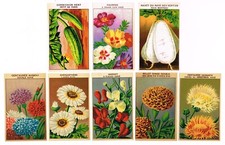 ORIGINAL VINTAGE LOT OF 8 EUROPEAN SEED PACKET LABELS FLOWERS C1910 GARDENING picture