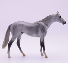 Peter Stone Chips Thoroughbred