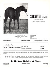 Shrapnel L H Von Dohlen Sons Goliad Texas Quarter Horse 1964 Vintage Magazine Ad picture
