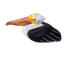 SITTING PELICAN HAND CARVED WOOD TROPICAL SCULPTURE BIRD DECOR TIKI BAR ART picture